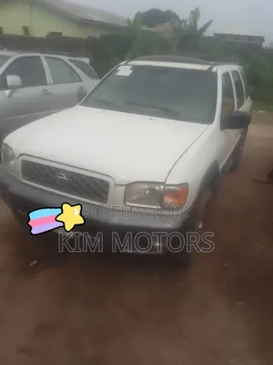 Nissan Pathfinder 2003 White