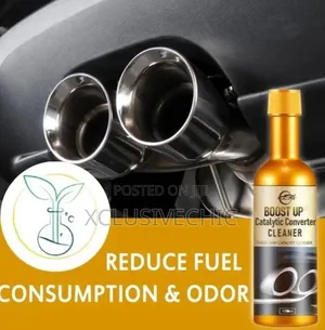 Catalytic Converter Cleaner
