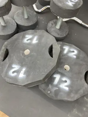 Pair of 12kg Barbell Weight Plate