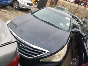 Hyundai Sonata 2012 Blue