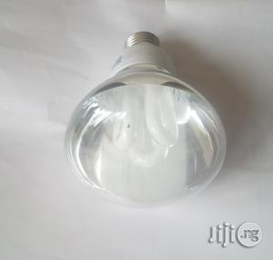 R80 Spotlight Energy Bulb