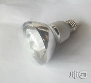 R80 Spotlight Energy Bulb