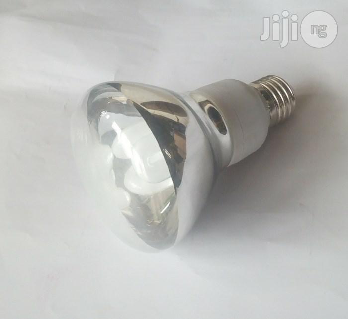 R80 Spotlight Energy Bulb