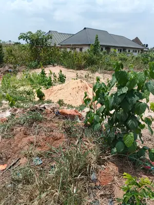 Land at Benin Agbor Road Bypass