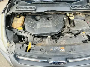 Ford Escape 2014 Gray
