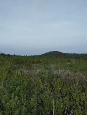 20 Acres of Land Available for Sale, Iseyin-Ogbomoso Express Way