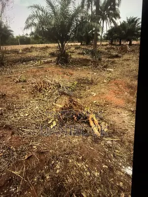 This 100 by 300 Fence at Egor Community