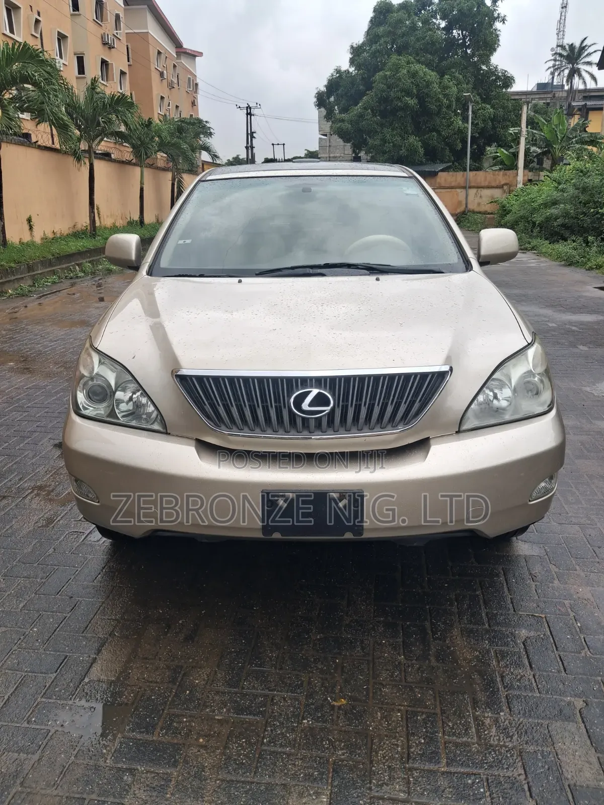 Lexus RX 2005 Gold