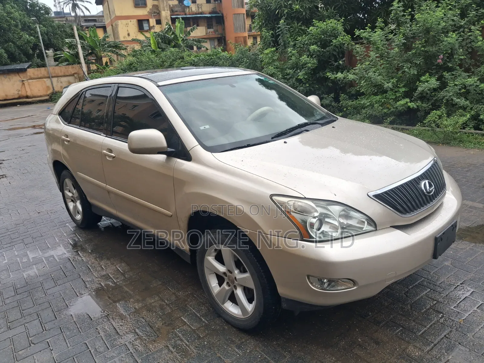 Lexus RX 2005 Gold