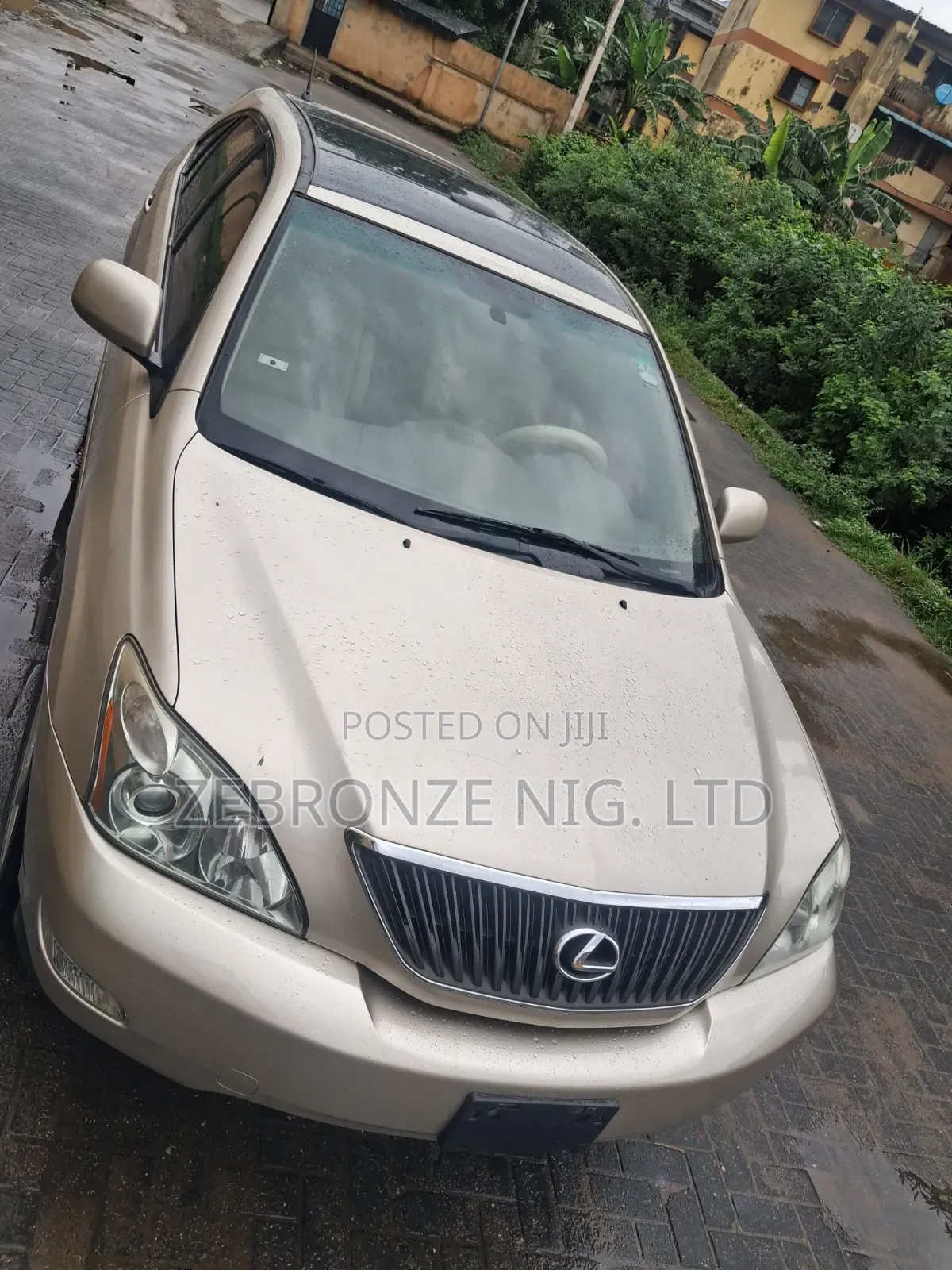 Lexus RX 2005 Gold