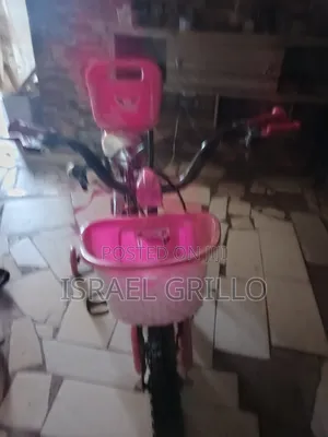Baby Girl Bike