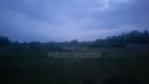 Full Plot of Land Behind Shoprite Ajah