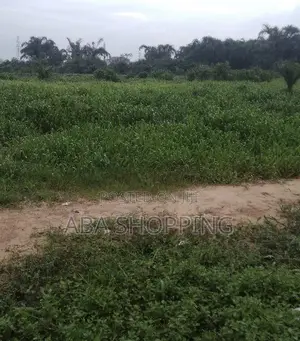30 Plots Of Land At Aba, Abayi By Ugwunagbo Ohanku Rd, Aba,Abia State