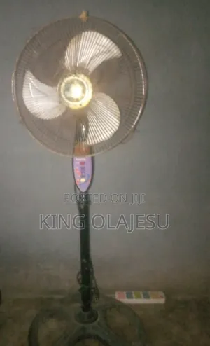 Standing Fan