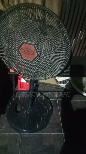 Standing Fan for Sale 