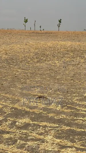 Farmland For Sale