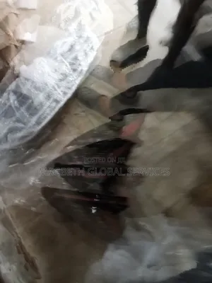 Booth Lamp for Hyundai Tucson 2023