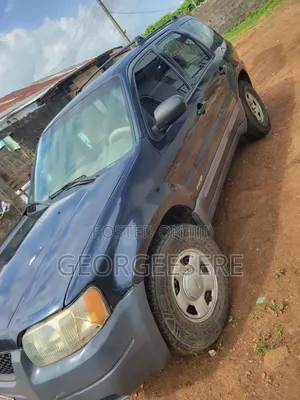 Ford Escape 2004 Blue