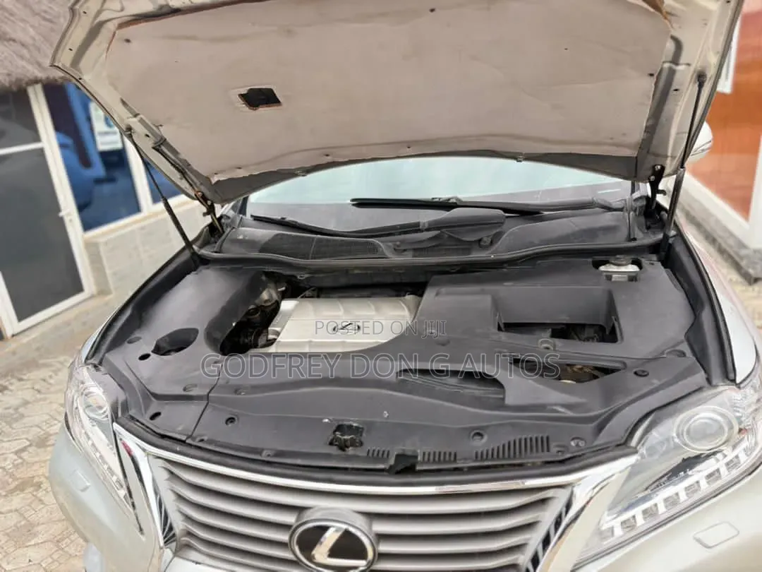 Lexus RX 2010 Silver
