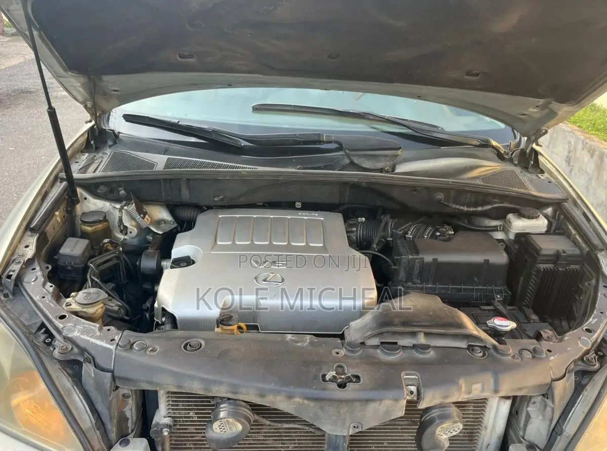Lexus RX 2009 Silver