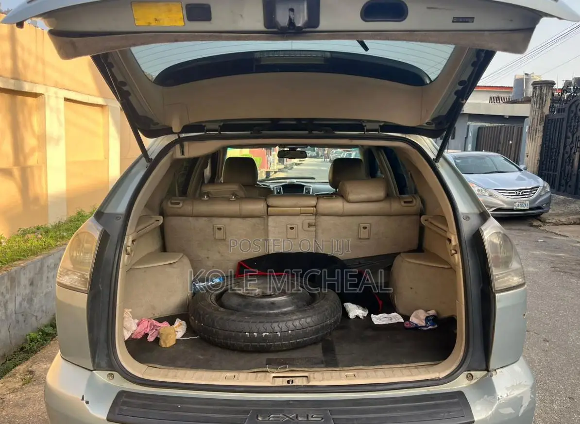 Lexus RX 2009 Silver