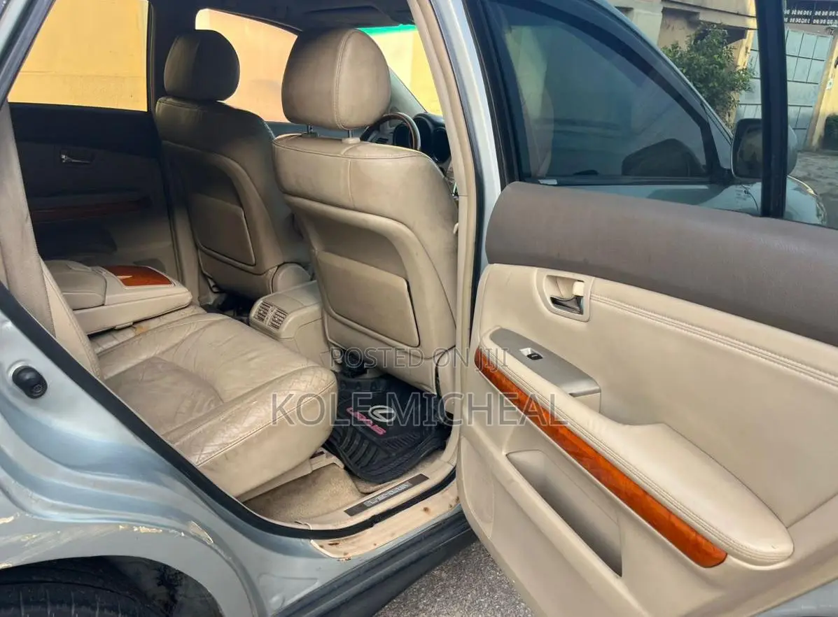 Lexus RX 2009 Silver
