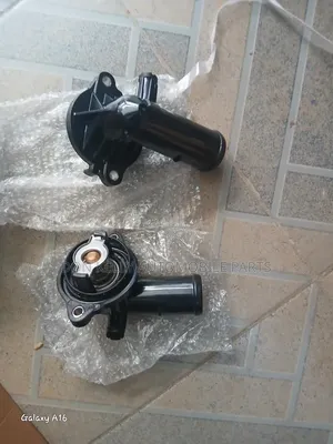Thermostat for Maserati