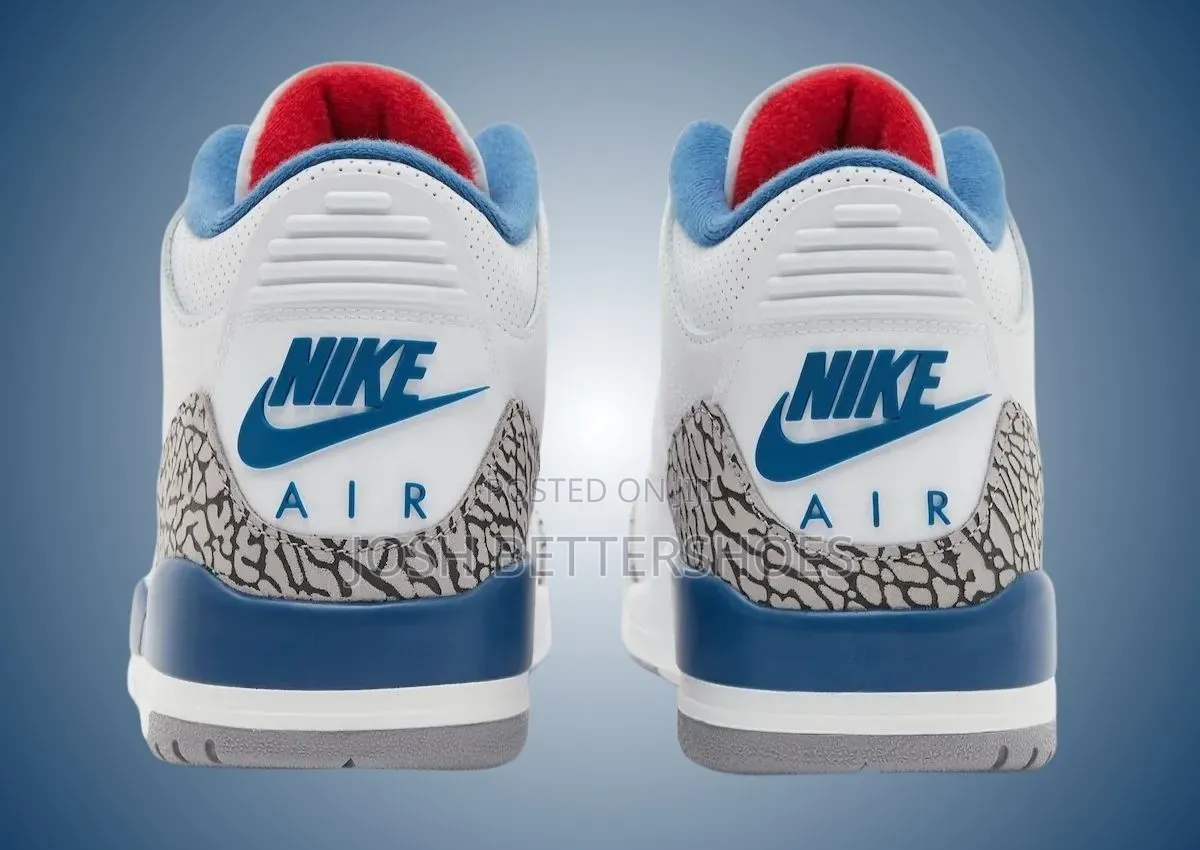 Air Jordan 3s