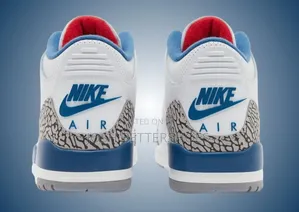 Air Jordan 3s