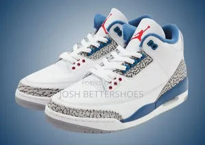 Air Jordan 3s