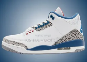 Air Jordan 3s