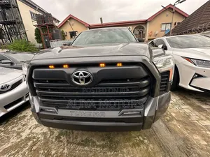 Toyota Tundra 2025 Gray