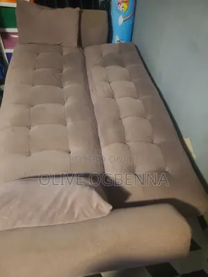 Sofa-Bed (Neatly Used)