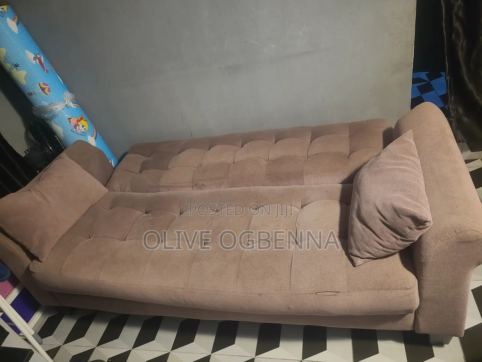 Sofa-Bed (Neatly Used)