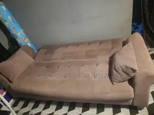 Sofa-Bed (Neatly Used)