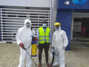 Bedbug Treatment and General Pest Control (Fumigation)