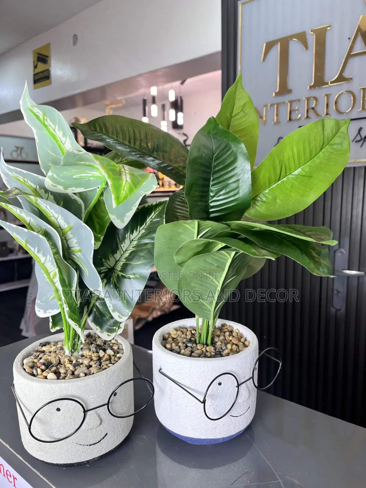 Spectacled Planters With Artificial Greenery