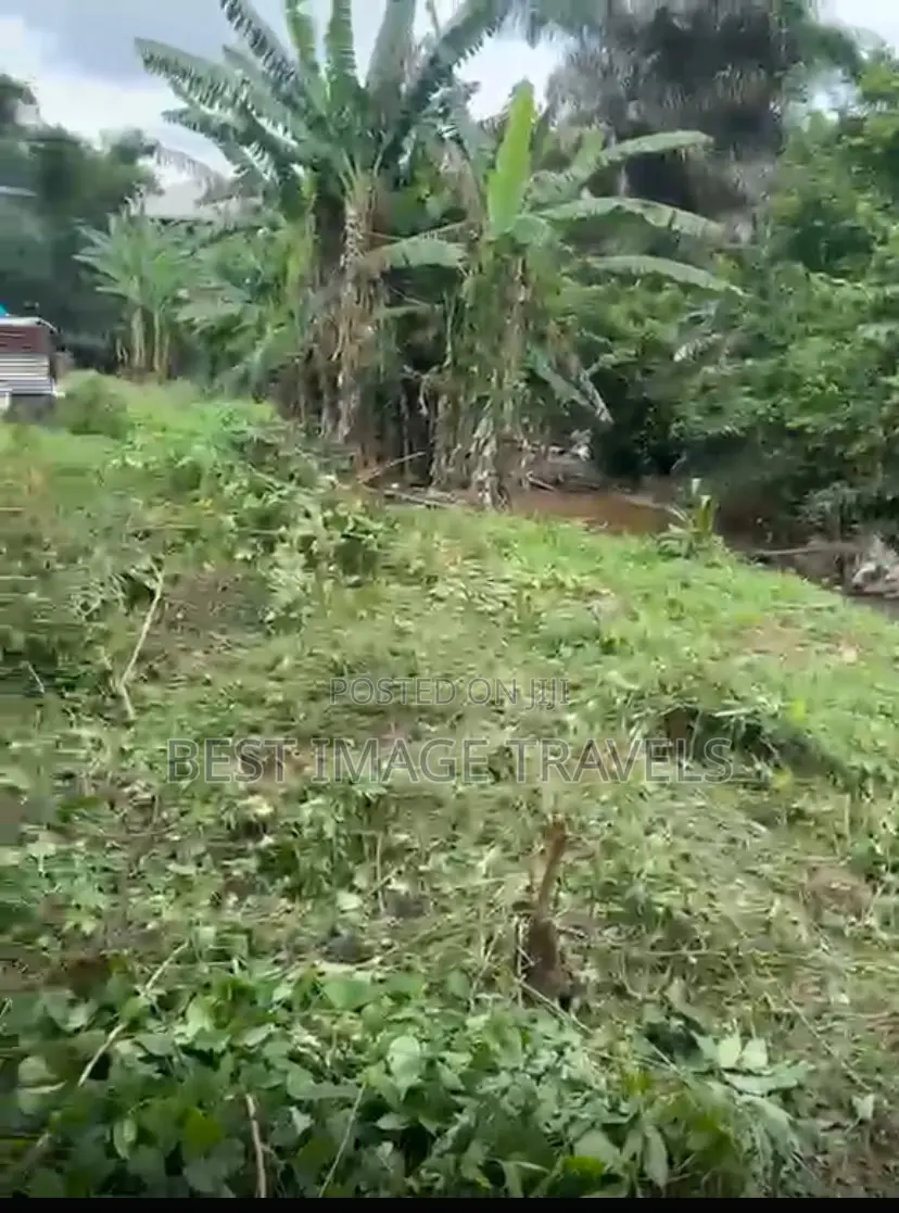 1 Plot of Land