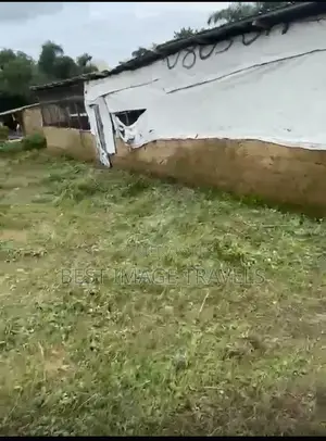 1 Plot of Land