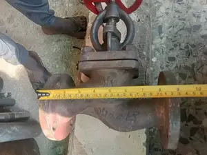 Industrial Flanged Globe Valve