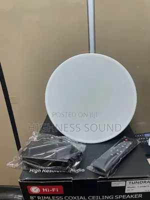 100w Single Bluetooth Ceiling Speaker