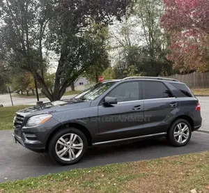 Mercedes-Benz M Class 2015 Gray