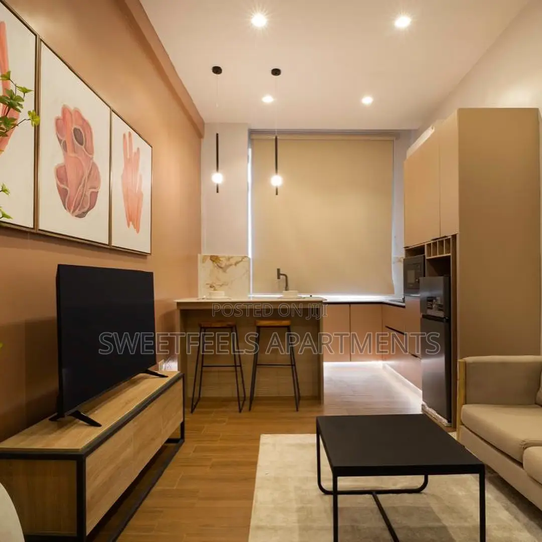 One Bedroom Open Plan Layout Available