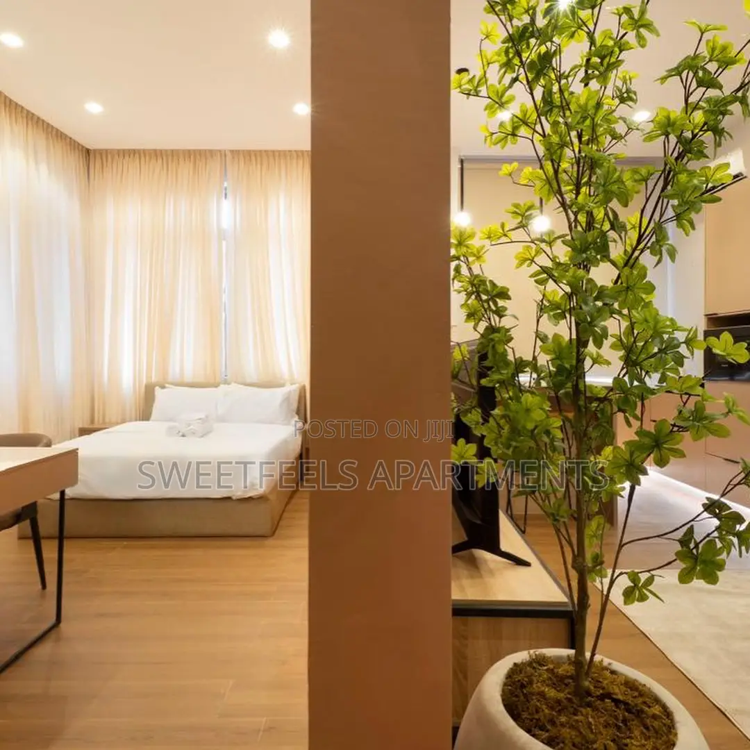 One Bedroom Open Plan Layout Available