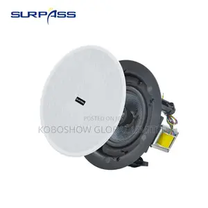 Frameless Ceiling Speaker