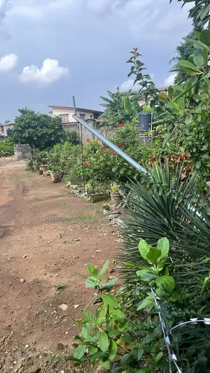 Acres of Land at Ewekoro Ogun State of Nigeria