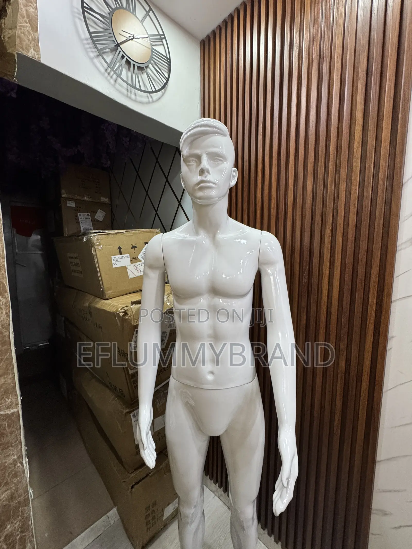 Male Mannequin