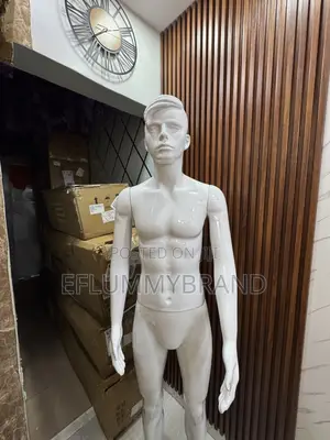 Male Mannequin