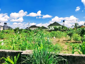 Massive 1.3 Hectare of Land for Sale at Osongama Estate, Uyo