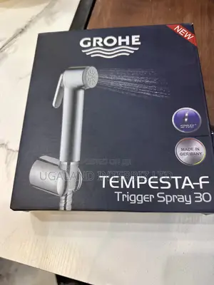 Modern Sprayer Set for Toilet